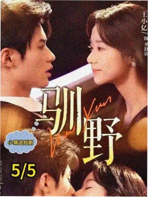 97视频在线观看 风起南巷 生活情感剧在线播放